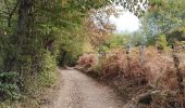Trail Walking Duerne - Randonnée des collines autour de Duerne  - Photo 8