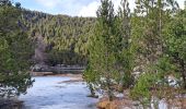 Tour Wandern Les Angles - Lac de Balcère - Photo 10