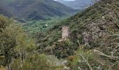 Tour Wandern Colombières-sur-Orb - les georges de la colombiere circuit non ordinaire - Photo 13