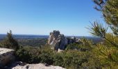 Randonnée Marche Les Baux-de-Provence - Les Beaux de Provence  - Photo 18