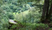 Percorso Marcia Bouillon - Corbion - Bouillon 1 - Photo 7