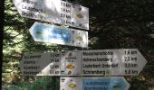 Trail On foot Schramberg - Schramberg - Rotwasser - Photo 1