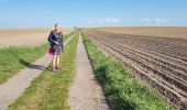 Tocht Stappen Pont-à-Celles - 2020-05-13 Liberchies (Viesville) 16 Km - Photo 4