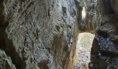Randonnée Marche Collonges-sous-Salève - Le Coin-Grottes d'Orjobet-La Corraterie-Grande Gorge-Le Coin - Photo 4