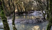 Tocht Stappen Vallon-Pont-d'Arc - Chames - Vallon de Tiourre - Photo 5