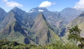 Tour Wandern La Possession - Dos d'Ane - Roche vert bouteille  - Cap noir - Photo 4