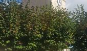 Tour Wandern Ronquerolles - Ronquerolles Chambly Removal - Photo 1