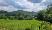 Tour Wandern Vresse-sur-Semois - rando 20 -05-2024 laforêt - Photo 4