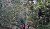 Trail Walking Plan-d'Aups-Sainte-Baume - Ste baume Chantal - Photo 8