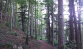 Trail Walking Sentheim - Sentheim Rossberg - Photo 9