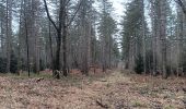 Excursión Senderismo Sprimont - fond des trois bois- Banneux Goffo taire via bois de Fraipont retour via bois de Tancremont  - Photo 14