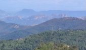 Tour Wandern La Garde-Freinet - les roches  blanches - Photo 1