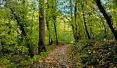 Trail Walking Honnelles - La promenade du Caillou qui Bique - Photo 4