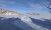 Tour Schneeschuhwandern La Pesse - L'Embossieux - Crêt de Nerbier  - Photo 10