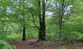 Randonnée Marche Spa - barisart . geronstere . creppe . barisart - Photo 3