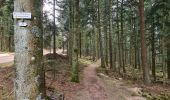 Tour Wandern Wangenburg-Engenthal - Le Hengst - Photo 18