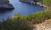 Trail Walking Cassis - Cassis / Luminy - Photo 2