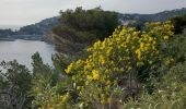 Randonnée Marche Ensuès-la-Redonne - laRedonne le grand Méjan - Photo 16