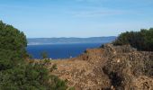 Tocht Stappen Hyères - Port-Cros  - Photo 1