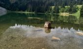 Tocht Stappen Mont-Saxonnex - lac benit  - Photo 8