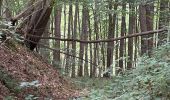 Trail Walking Ittre - #230717 - Virginal-Samme, Ardennes et Grand Bois, dont 2,5 km du GRP 127 - Photo 9