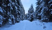 Tour Wandern Stablo - A la découverte de Hockai 🥾 - Photo 16