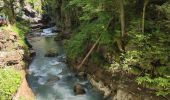 Randonnée Marche Oberstdorf - Breitachklamm  - Photo 10