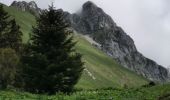 Randonnée Marche Bernex - chalet d'oche - Photo 11