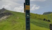 Tocht Stappen Lus-la-Croix-Haute - Col de Chante depuis Amayeres - Photo 3