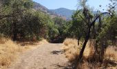 Tocht Stappen Vitacura - Sendero abajo del Cerro Carbón - Photo 15