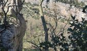 Randonnée Marche Berrias-et-Casteljau - Gorges du Chassezac - Photo 2