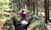 Tour Reiten Neufchâteau - Cousteumont Ospau - Photo 2