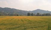 Tocht Stappen San Mauro Torinese - Rome_53_Torino_Chivasso_20180912 - Photo 1