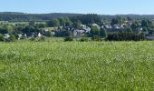 Randonnée Marche Libramont-Chevigny - Bras - Photo 6