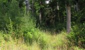 Randonnée Marche Dampleux - en forêt de Retz_82_sur les Routes de la Bruyère aux Loups et de la Chrétiennette - Photo 6