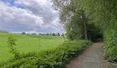 Trail Walking Enghien - Le tour d’Enghien 9,4 km - Photo 3