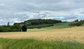 Tour Wandern Heuvelland - Nieuwekerke Bailleul 17,5 km - Photo 10