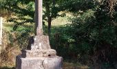 Percorso Marcia Saint-Nectaire - TOUR DU PUY D' ERAIGNE DEPUIS LE CAMPING 