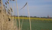 Tocht Te voet Szklary - Zielony Ziębice PKP - Grodków PKP - - Photo 10