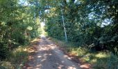 Tour Wandern Avignon - 2024-08-24 Barthelasse - grand  bosquet - Photo 1