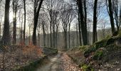 Trail Walking Genappe - #211004 - Sauvagemont, Bois de Thy et Ferme d'Agnissart**** - Photo 18