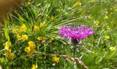 Trail Walking Jausiers - le lac des sagnes - Photo 12