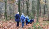 Trail On foot Chaumont-Gistoux - #181130 - Autour de Vieusart, version courte - Photo 1