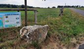 Tocht Stappen Lierneux - GR 14 BANEUX - CIELLE  - Photo 5