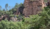 Tour Wandern Roquebrune-sur-Argens - z le Blavet 18-06-24 - Photo 3