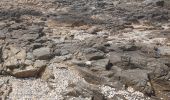 Tocht Stappen Plounéour-Brignogan-Plages - 17 08 2024 - Plouneour trez - Baie du Kernic  - Photo 1