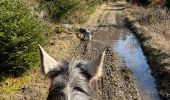 Tour Reiten Habich - Marbehan côté Thibessart - Photo 10