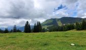 Tocht Stappen Châtel - Super Chatel vers Chatel - Photo 5