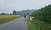 Tour Wandern Saint-Broladre - RA 2023 Mont Dol - Photo 7