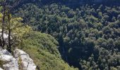 Tour Wandern Menétrux-en-Joux - Ménétrux-en-Joux - cascades Evantail et Hérisson - Saut de la Forge - La Fromagerie - Photo 11